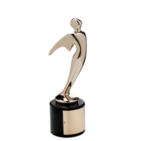 video production award 2004 - bronze telly award