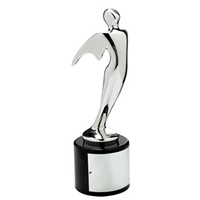 video production award 2012 - Silver Telly Award