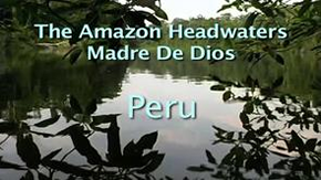 Michael Pellegatti Wild Visions’s Videos on Vimeo - Headwaters of the Amazon