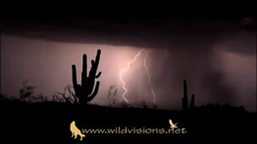 Michael Pellegatti Wild Visions’s Videos on Vimeo - Lightning Storm Arizona Desert