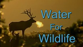 Michael Pellegatti Wild Visions’s Videos on Vimeo - Water for Wildlife